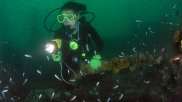 Night Dive on the HTMS Khram